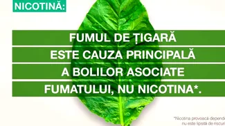 Date obiective despre nicotină, țapul ispășitor al fumatului