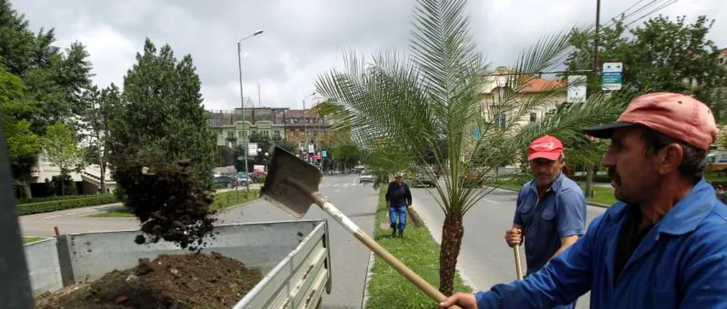 TIMIȘ. Unde au mers banii publici în 2014. Topul firmelor care au contracte locale cu statul