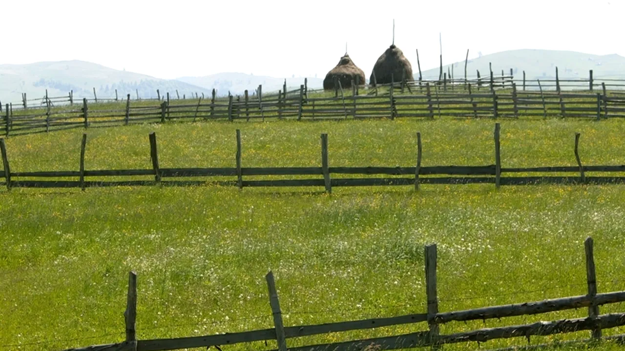 Conferință Mediafax Talks about European Funds. Ministerul Agriculturii va achita în avans, din octombrie, 50% din sprijinul pe suprafață pe 2013 pentru fermieri