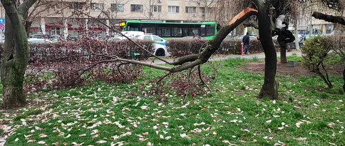 UPDATE: FOTO | Vântul puternic a făcut RAVAGII în Capitală: 39 de mașini au fost avariate, 57 de copaci s-au rupt, iar șase stâlpi au fost dărâmați