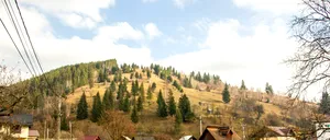 Comuna din România care surclasează mari orașe. Elevii învață o meserie de pe băncile școlii, iar de șomaj nu s-a auzit