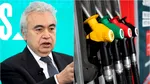 Șeful Agenției Internaționale de Energie face predicții dezastruoase pentru luna Aprilie. „Multe țări vor începe raționalizarea energetică”
