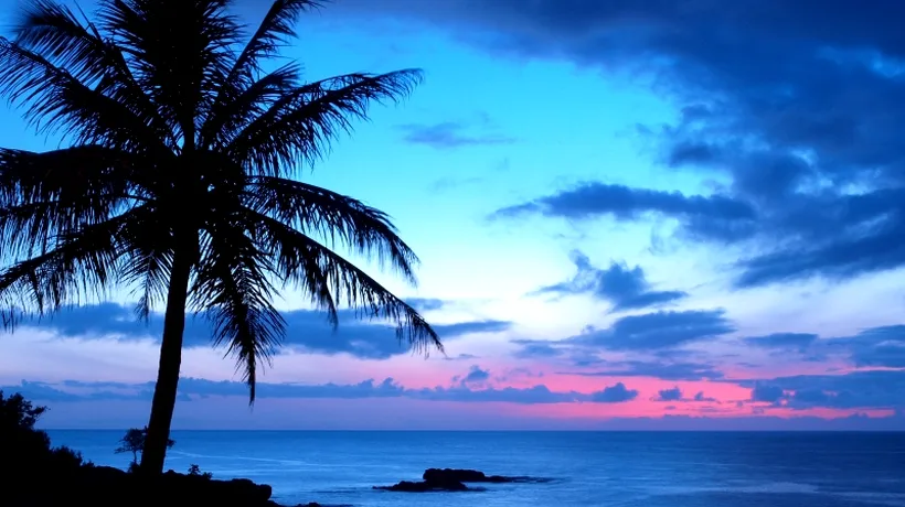 Un cuplu canadian oferă ca premiu o vacanță de vis în Hawaii. Cum arată câștigătorul ideal
