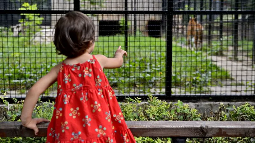 1 iunie, Ziua Copilului. Grădina Zoologică din București poate fi vizitată gratuit de copii și adolescenți