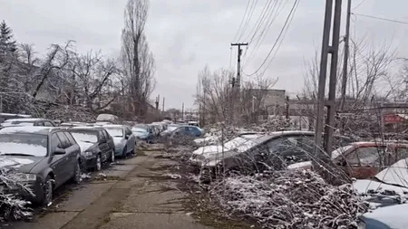 Seduse și abandonate. Orașul din România care vinde la licitație rablele culese de pe străzi