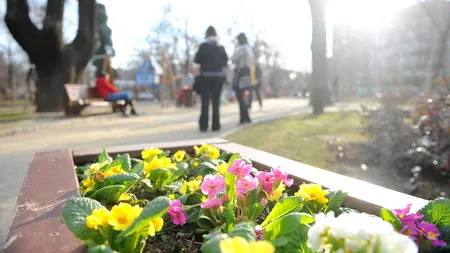 Parcuri din București, 