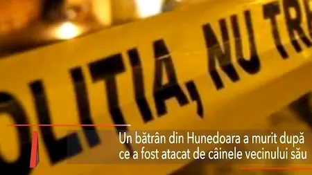 Un bătrân din Hunedoara, UCIS de câinele vecinului său. Animalul a scăpat DIN LANȚ