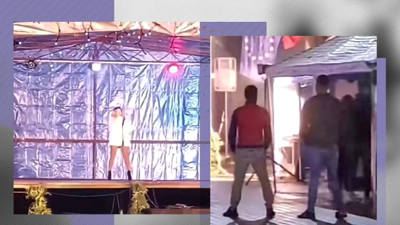 VIDEO | Concert cu doar doi spectatori, la un Târg de Crăciun din România. Imaginile au devenit virale