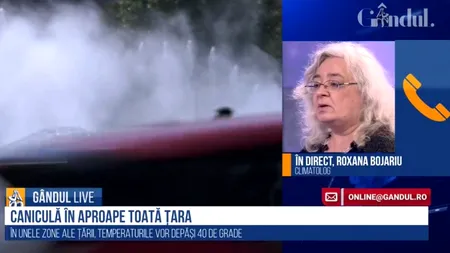 GÂNDUL LIVE. Roxana Bojariu, climatolog: „Dar dacă ne uităm la tabloul climatic, august are precipitații mai puține decât iulie și iunie”