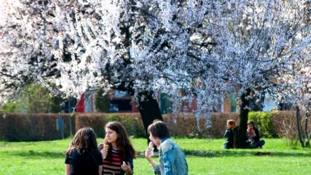 Prognoza meteo pentru această primăvară. Cum va fi vremea în următoarele trei luni