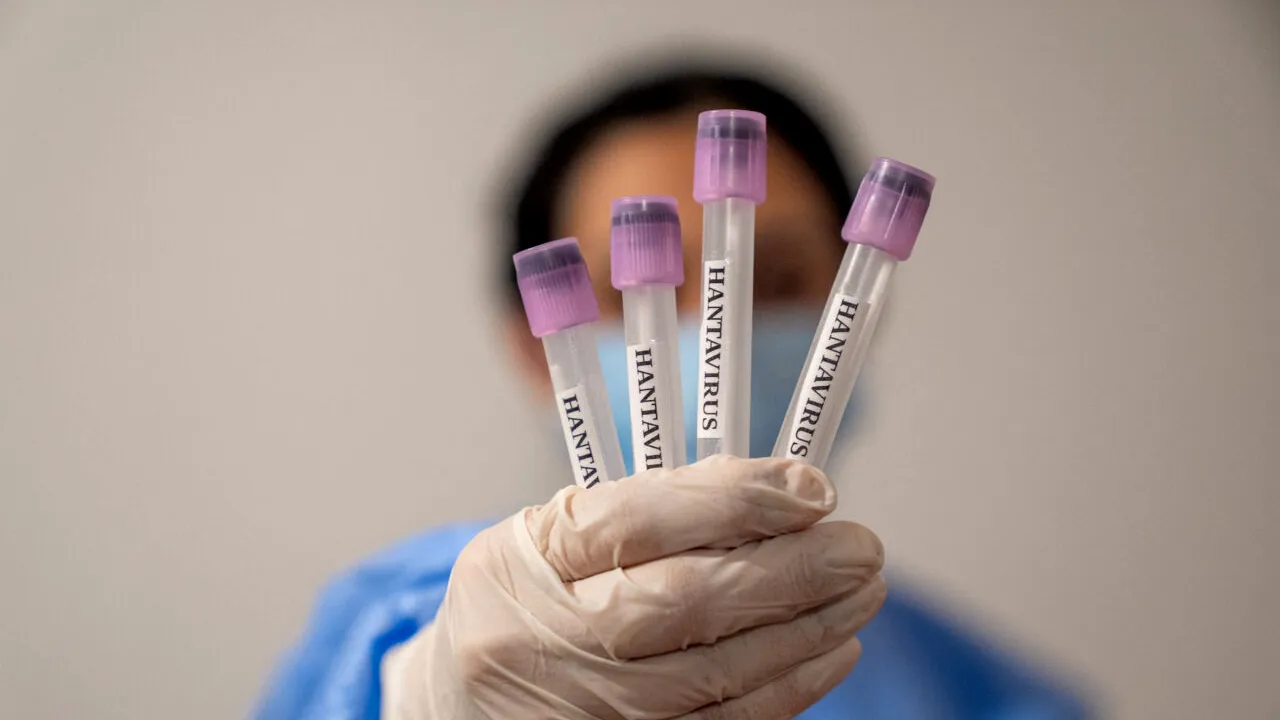 Panica provocată de hantavirus, nejustificată. OMS anunță că noul virus nu va provoca următoarea pandemie