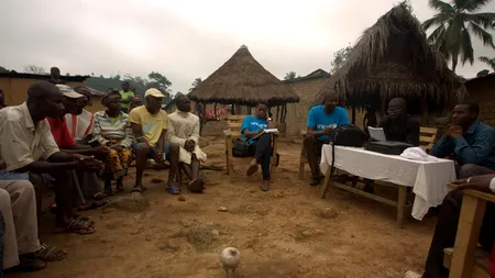 Lilieci insectivori s-ar putea afla la originea epidemiei de Ebola. Cercetătorii germani susțin că au aflat numele primei persoane infectate cu virusul ucigaș