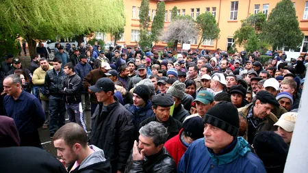 O statistică rece scoate la iveală o realitate paradoxală a României. „Mixul între oportunități la negru și ajutoare de la stat este puțin prietenos