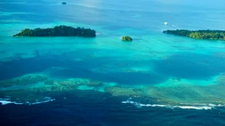 Oceanele rămân fără oxigen pe măsură ce temperaturile cresc din cauza modificărilor climatice