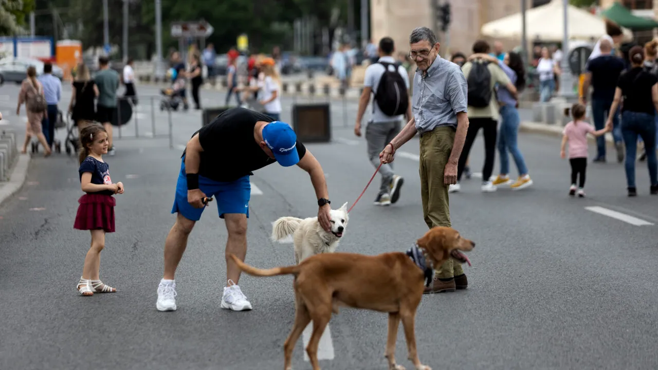 Cu ce noutăți continuă weekendul cu Străzi deschise, pe Kiseleff, Calea Victoriei, dar și în sectoare | GALERIE FOTO