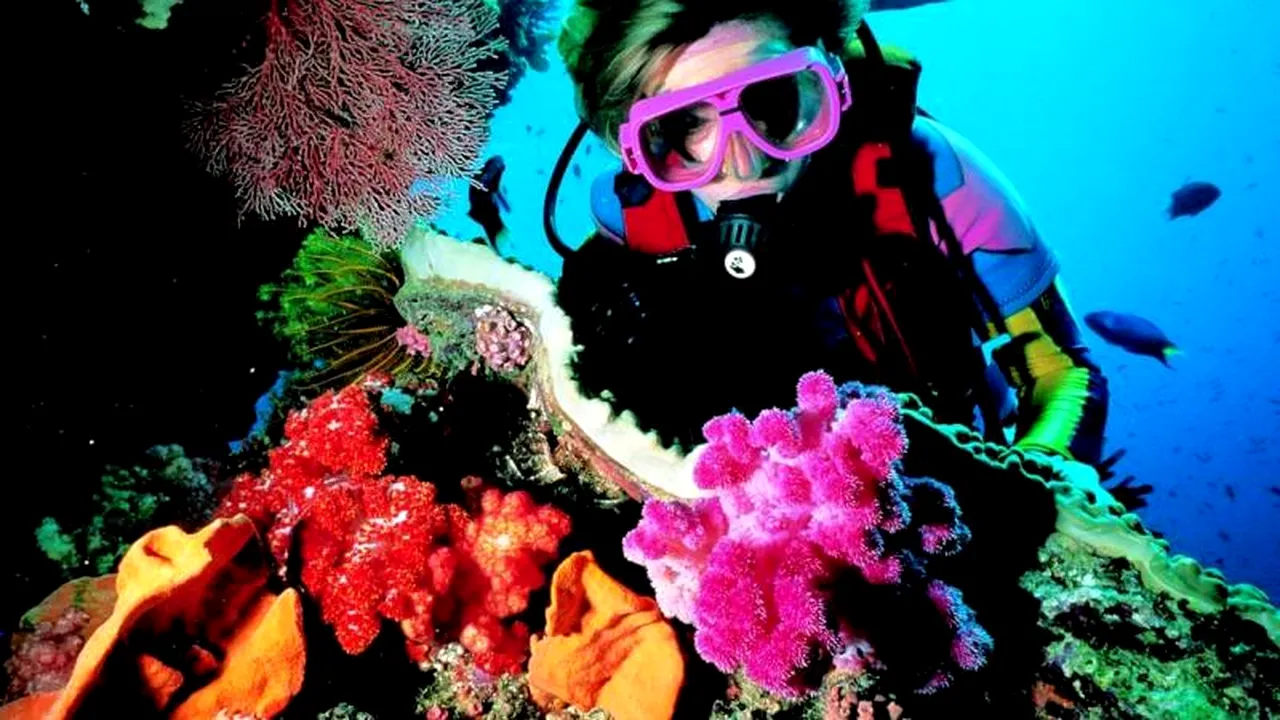 Scenariu sumbru: Cum ar putea dispărea Marea Barieră de Corali în doar 2 săptămâni