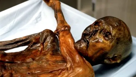 Globule roșii conservate timp de 5.300 de ani, descoperite în corpul mumiei Ã–tzi, omul ghețurilor