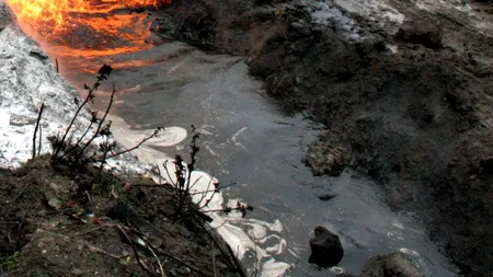 Trei tone de păcurină s-au scurs în canalizarea din Câmpulung Muscel și în râul Târgului