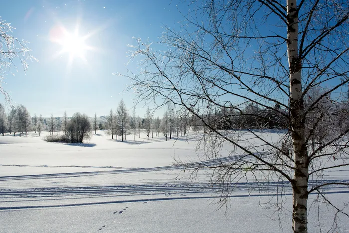 Soare cu dinți în Capitală