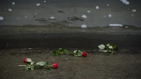 Efectul tragediilor rutiere din ultimele zile: Primăria montează parapeți și limitatoare de viteză pe malurile Dâmboviței