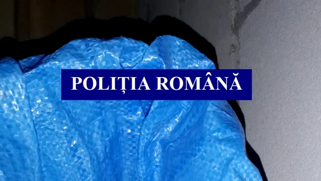 Percheziţii în Călăraşi şi în Capitală. Mai multe persoane, acuzate că au furat peşte dintr-o baltă privată și l-au vândut în piețe din București