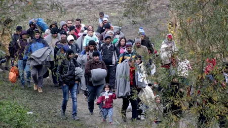 INFOGRAFIC. Care sunt țările care primesc cei mai mulți imigranți și de unde vin aceștia