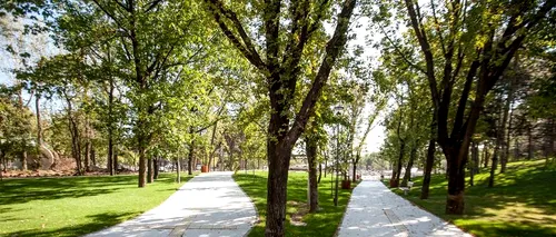 Fițuici cu Iohannis care anunță redeschiderea Parcului Moghioroș, distribuite în Sectorul 6. Reacția ACL