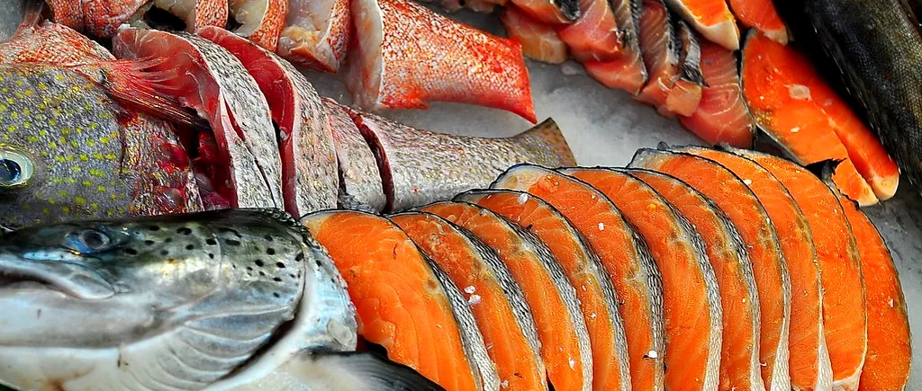 Somonul și FRAUDA alimentară, ce nu li se spune românilor! 40% din marfa vândută în pescării nu este ceea ce credem
