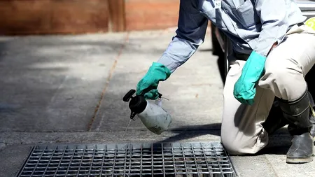 Virusul West Nile a provocat moartea a 17 persoane în Texas