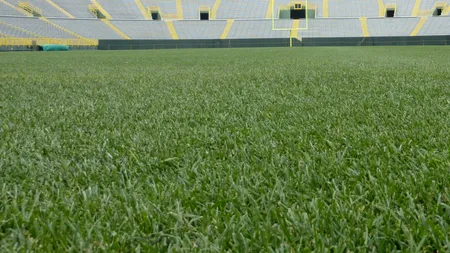 Primăria Arad donează iarbă de pe stadionul UTA, drept amintire