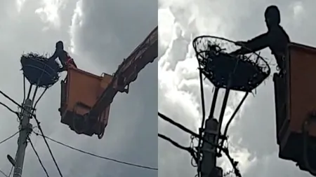 Cuib de barză mutat din ordin de ministru! O localnică s-a plâns că pasărea îi murdărea acoperișul casei