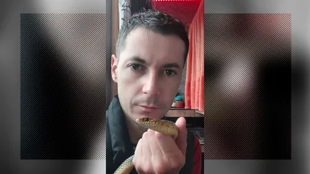 Caz șocant în Severin: Tânăr de 36 de ani, găsit mort în casă / În locuință, oamenii legii au găsit șapte șerpi, între care trei VIPERE veninoase