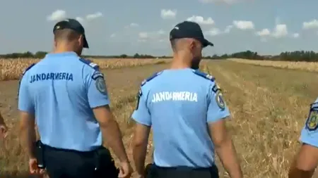 VIDEO | Peste 100 de jandarmi au fost mobilizați la Crevedia, în urma exploziilor la stația GPL. Oamenii legii caută probe pe câmpurile din apropiere