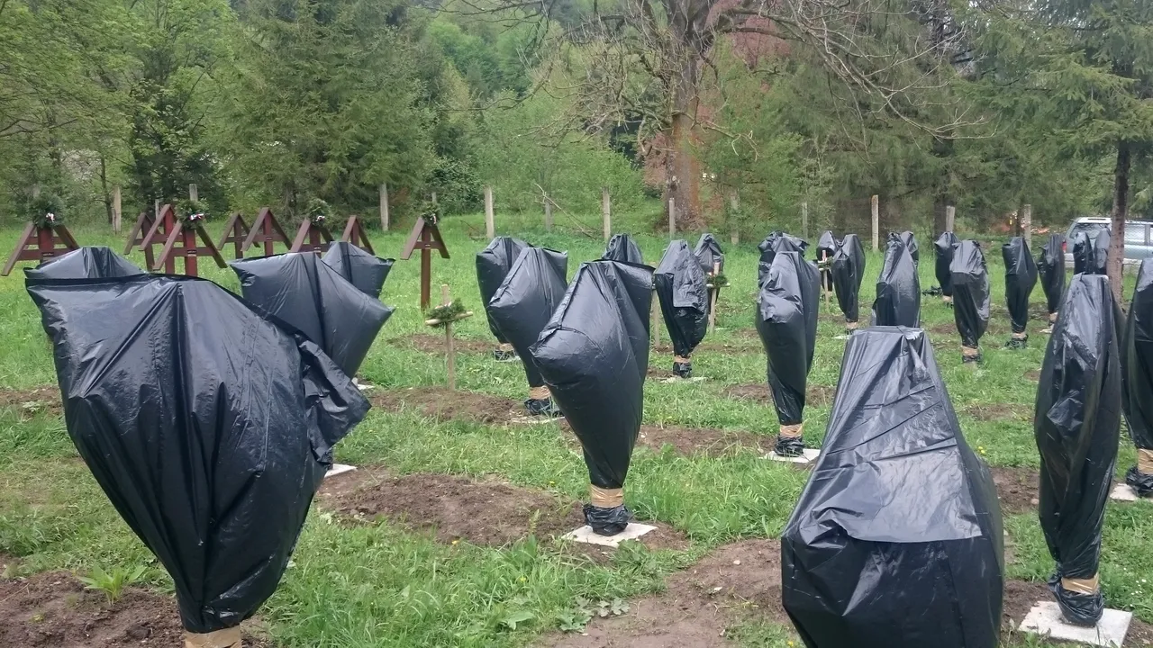 Propunerea Vioricăi Dăncilă în cazul Valea Uzului: Cimitirul să fie preluat de MApN