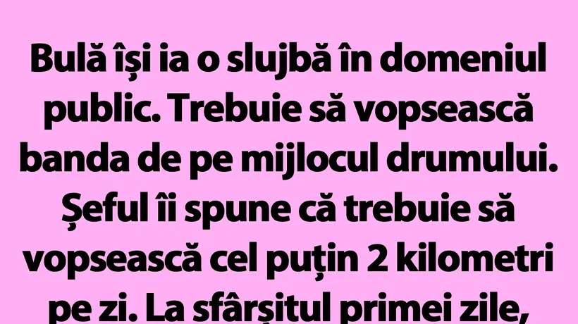 BANC | Bulă își ia o slujbă în domeniul public