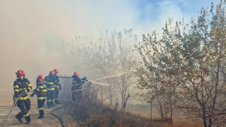 Un pompier a fost rănit în timp ce intervenea la un incendiu de pădure, după ce un copac s-a prăbușit