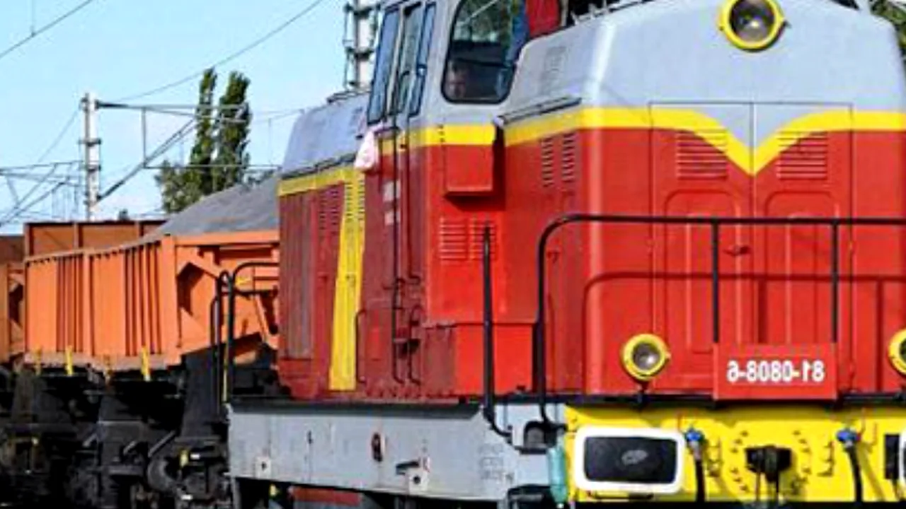 Vameșii au oprit un tren care venea din Ucraina. Al zecelea vagon avea o încărcătură ilegală