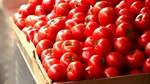 Unde au fost descoperite roșii cu Salmonella. Este o locație populară printre români