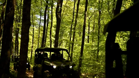 Distracție în team building încheiată cu 30.000 de lei AMENDĂ. Participanții au încălcat o lege crucială referitoare la pădurile din România