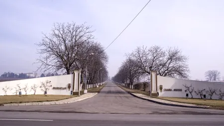 DNA, sechestru pe trei fabrici în dosarul Murfatlar