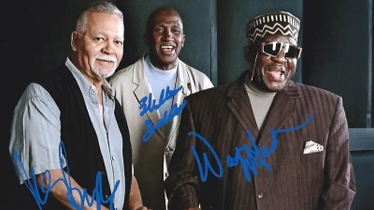 Un celebru muzician a murit la vârsta de 75 de ani