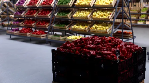 Veste bună pentru bucureșteni! În sectorul 2 s-a deschis prima piață agroalimentară cu produse exclusiv românești (FOTO)