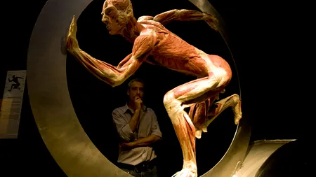 Plastifiere, criogenizare sau „înmormântare planetară