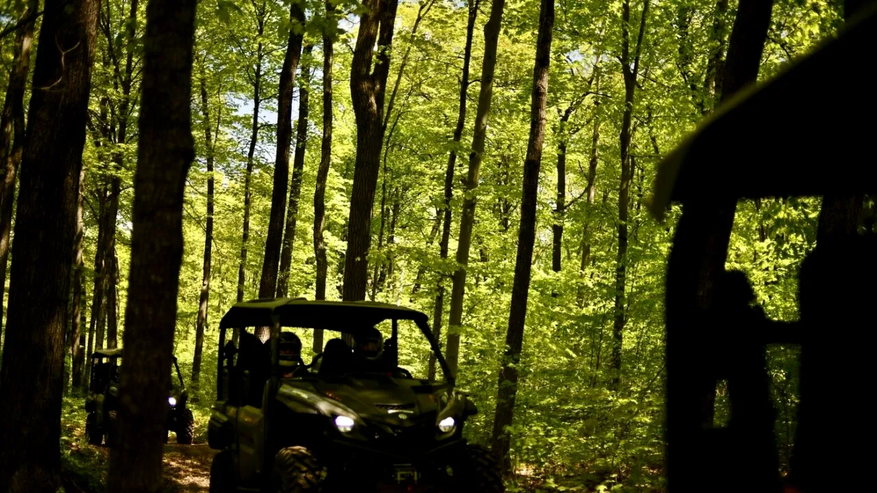 Distracție în team building încheiată cu 30.000 de lei AMENDĂ. Participanții au încălcat o lege crucială referitoare la pădurile din România