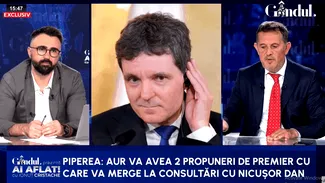Soluția AUR de a-i forța mâna lui Nicușor Dan. Piperea: Își va face guvernul informal de care vorbește/Va izbucni în râs, cum face el