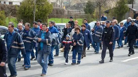 Statul a reluat procesul de privatizare a combinatului Oltchim. Primul pas: 