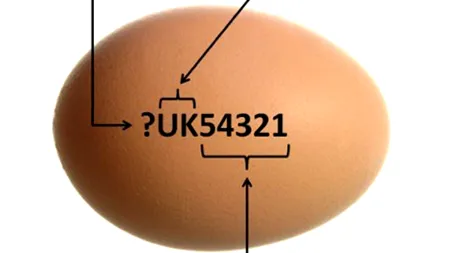 Ce înseamnă, de fapt, fiecare cifră din codul de marcat de pe OUĂ. Puțini români cunosc secretul