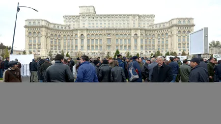 Silvicultorii cer convocarea CSAT pentru analizarea problemelor pe care le au privind paza pădurilor