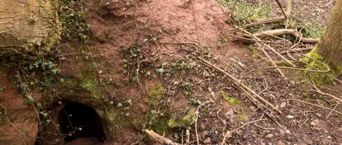 Ce poți găsi sub o gaură săpată de un iepure? Arheologii au făcut o descoperire istorică