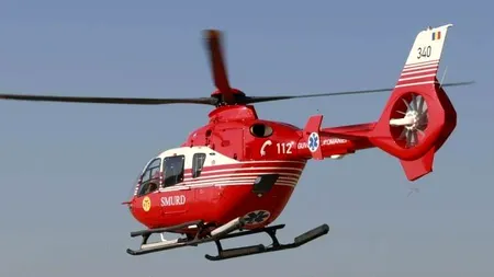 Alertă SMURD. Un copil a fost mușcat de o viperă pe masivul Godeanu